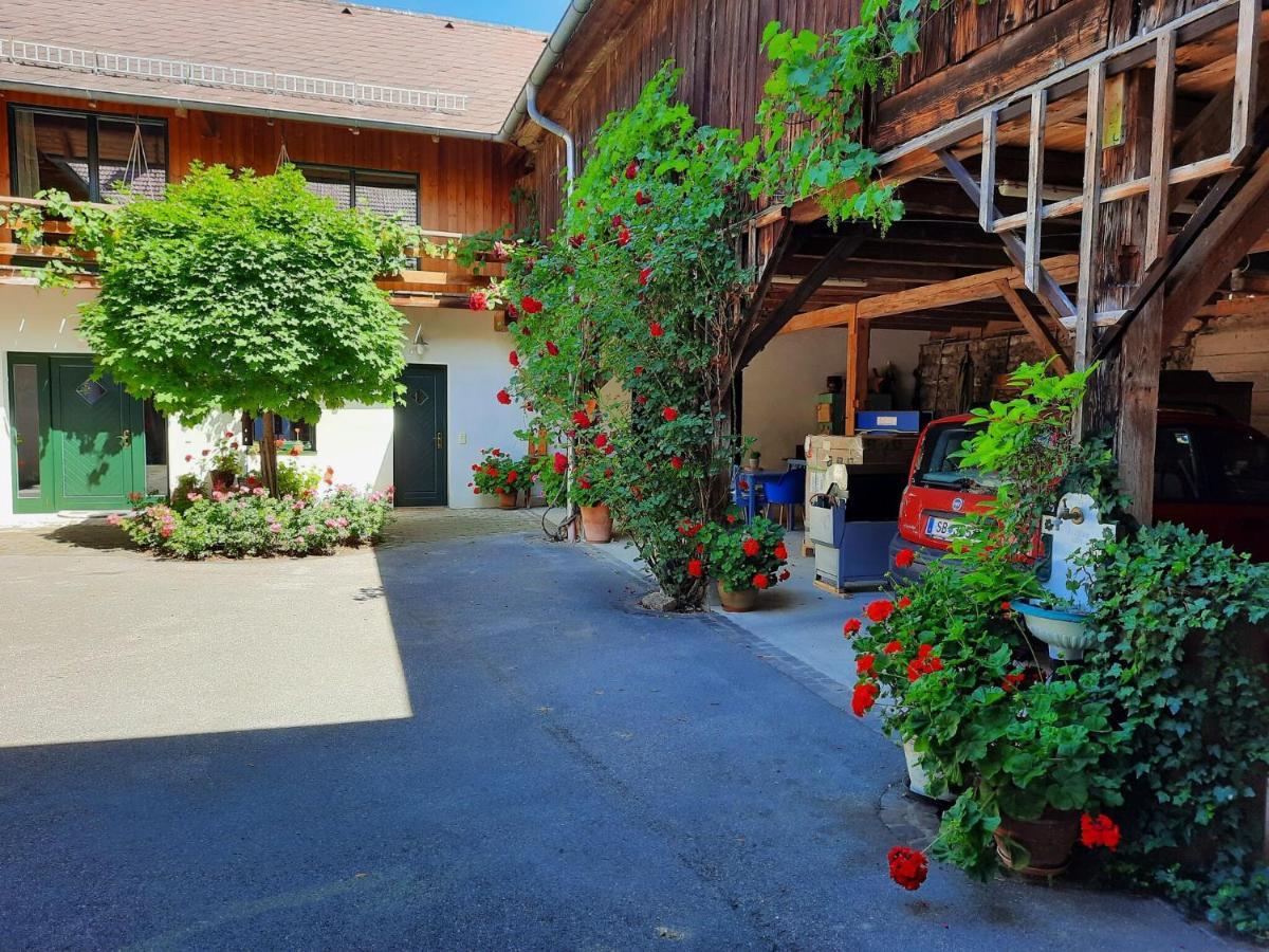 Loft-Like Apartment In Scheibbs With Swimming Pond Kültér fotó